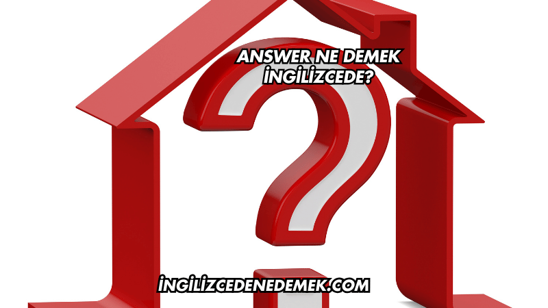 Answer Ne Demek İngilizcede?