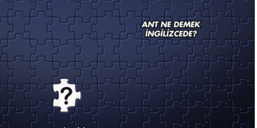 Ant Ne Demek İngilizcede?