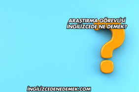 Araştırma Görevlisi İngilizcede Ne Demek?