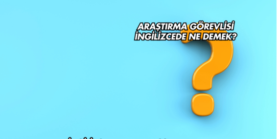 Araştırma Görevlisi İngilizcede Ne Demek?