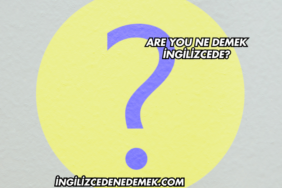 Are You Ne Demek İngilizcede?