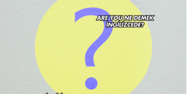 Are You Ne Demek İngilizcede?