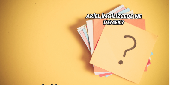 Ariel İngilizcede Ne Demek?