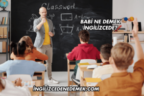 Babi Ne Demek İngilizcede?