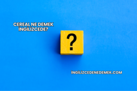Cereal Ne Demek İngilizcede?