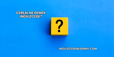 Cereal Ne Demek İngilizcede?