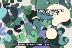 Cowgirl Ne Demek İngilizcede?