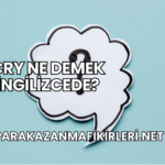 Cry Ne Demek İngilizcede?