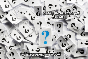 Davul İngilizcede Ne Demek?