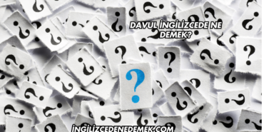 Davul İngilizcede Ne Demek?