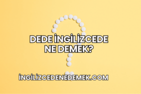 Dede İngilizcede Ne Demek?