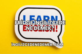 Fridge İngilizcede Ne Demek?