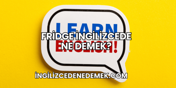Fridge İngilizcede Ne Demek?