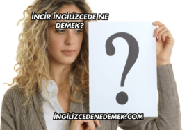 İncir İngilizcede Ne Demek?