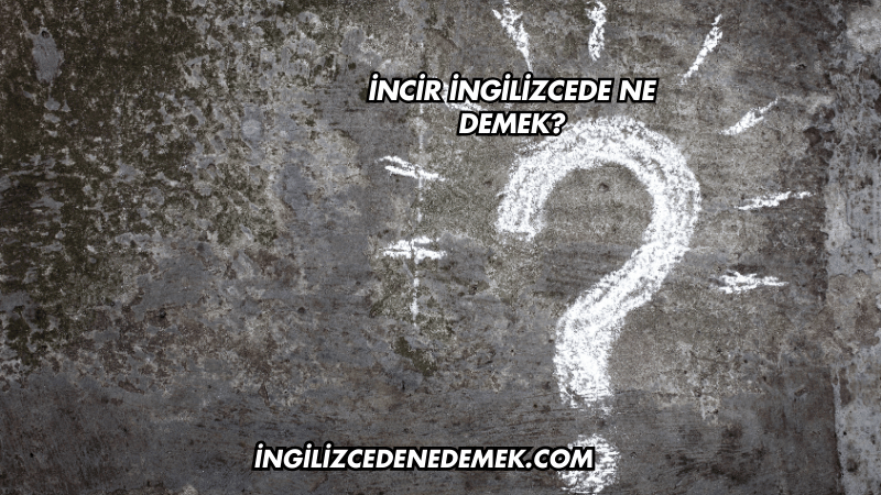 İncir İngilizcede Ne Demek?