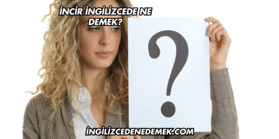İncir İngilizcede Ne Demek?