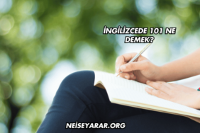 İngilizcede 101 Ne Demek?