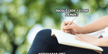İngilizcede 101 Ne Demek?
