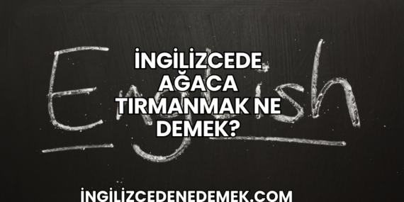 İngilizcede Ağaca Tırmanmak Ne Demek?