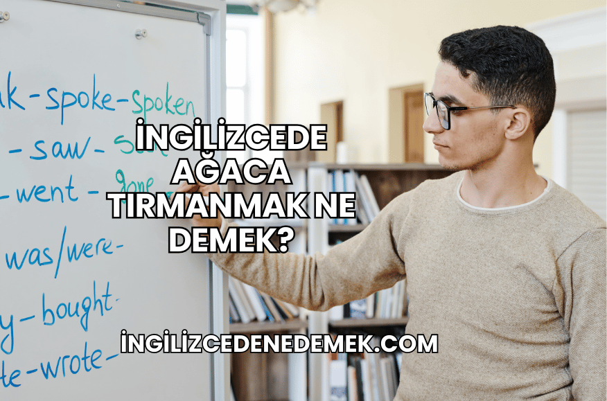 İngilizcede Ağaca Tırmanmak Ne Demek?