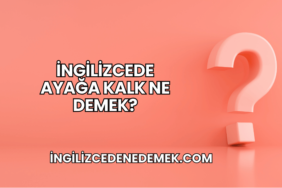 İngilizcede Ayağa Kalk Ne Demek?