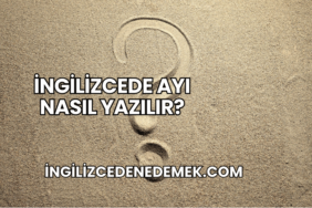 İngilizcede Ayı Nasıl Yazılır?