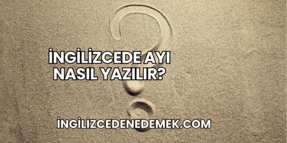 İngilizcede Ayı Nasıl Yazılır?