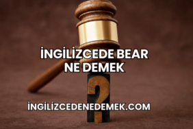 İngilizcede Bear Ne Demek