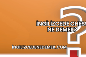 İngilizcede Chess Ne Demek?
