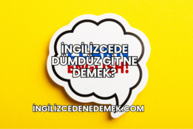 İngilizcede Dümdüz Git Ne Demek?
