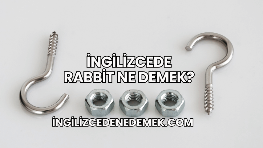 İngilizcede Rabbit Ne Demek?