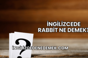 İngilizcede Rabbit Ne Demek?