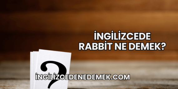 İngilizcede Rabbit Ne Demek?