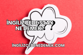 İngilizcede Stay Ne Demek?