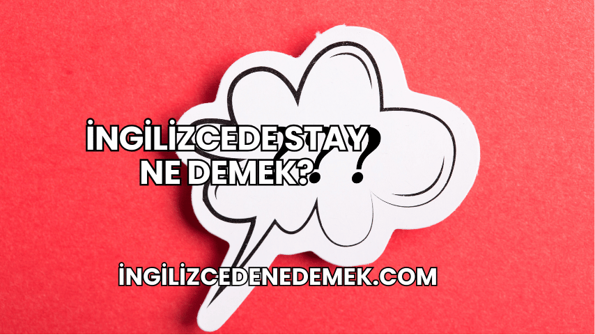 İngilizcede Stay Ne Demek?