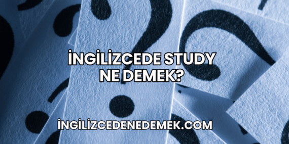 İngilizcede Study Ne Demek?