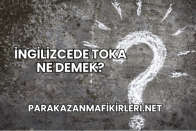 İngilizcede Toka Ne Demek?