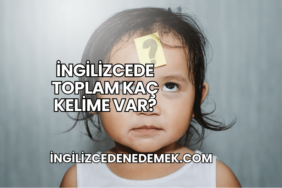 İngilizcede Toplam Kaç Kelime Var?