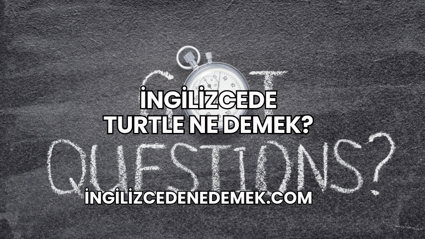 İngilizcede Turtle Ne Demek?