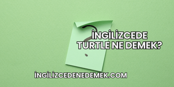İngilizcede Turtle Ne Demek?