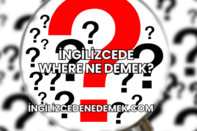 İngilizcede Where Ne Demek?