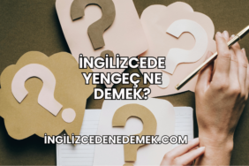 İngilizcede Yengeç Ne Demek?