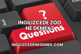 İngilizcede Zoo Ne Demek?
