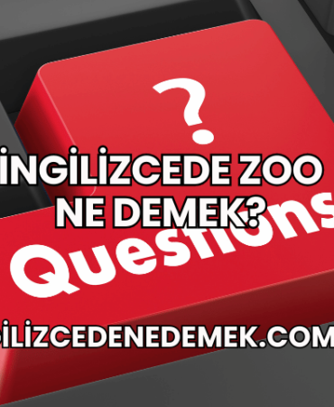 İngilizcede Zoo Ne Demek?