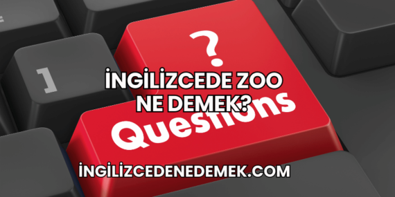 İngilizcede Zoo Ne Demek?