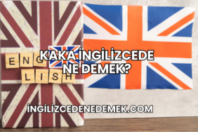 Kaka İngilizcede Ne Demek?