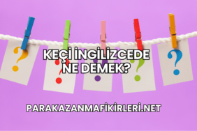 Keçi İngilizcede Ne Demek?