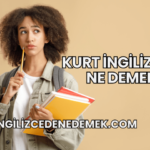 Kurt İngilizcede Ne Demek?