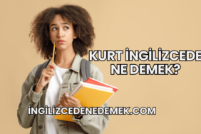 Kurt İngilizcede Ne Demek?