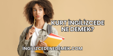 Kurt İngilizcede Ne Demek?